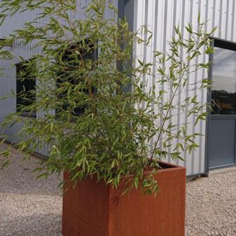 Jardinière corten